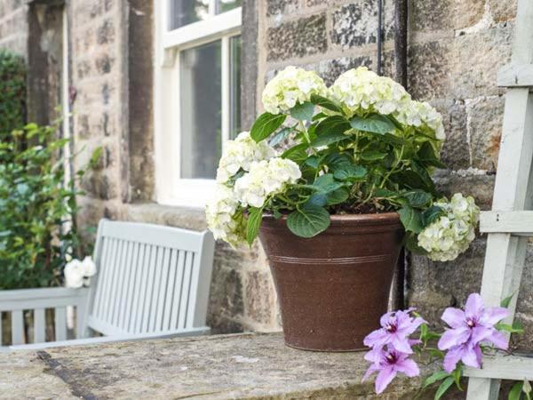 Beacon Cottage Ilkley Zewnętrze zdjęcie